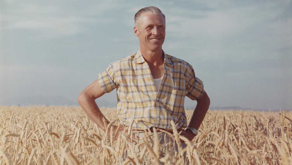 Norman-Borlaug